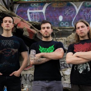 Inseminate Degeneracy